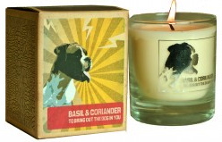 dog candle